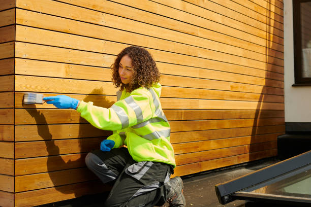 Best Brick Veneer Siding  in Sundance, WY